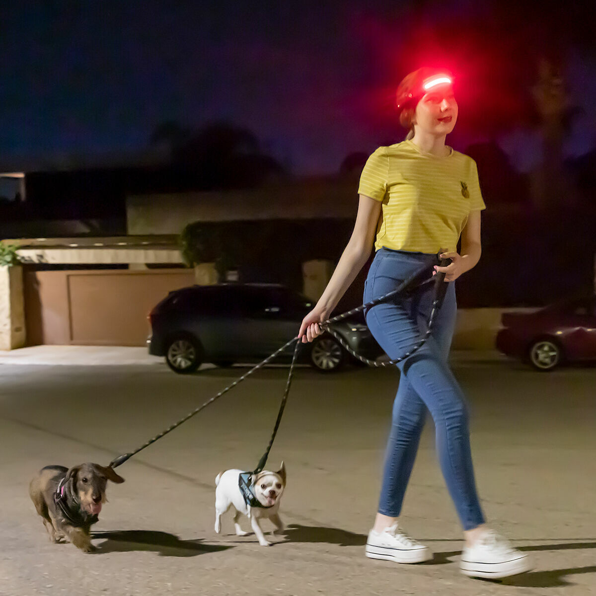 V8H1260965BD336EA75797F851F383C2FDER5222736P6