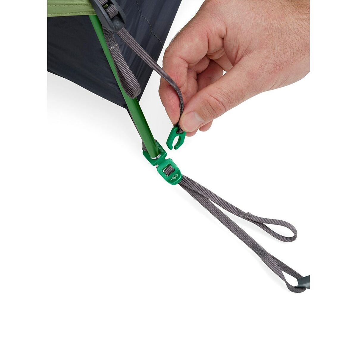 V1H68C2C2157E46E3F7B1926A32AA333A70RP7